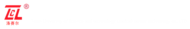 泰安科大洛賽爾傳感技術有限公司